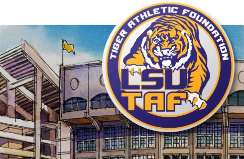 the preservation of tiger stadium button